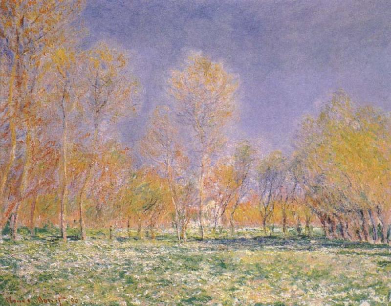 Claude Monet Springtime at Giverny Spain oil painting art